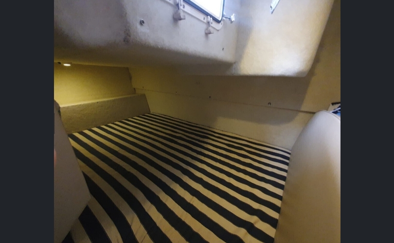 Bayliner 285 SB-kuva-5